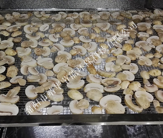 綿陽菌類烘干 綿陽菌類烘干